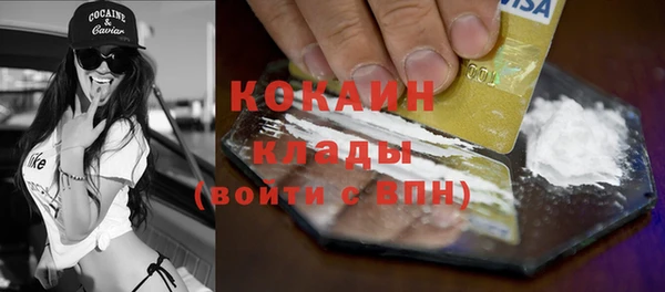 прущая мука Ельня