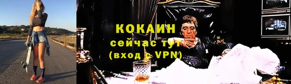 прущая мука Ельня