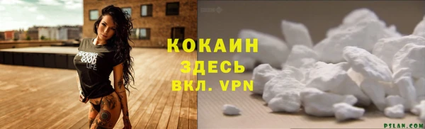 прущая мука Ельня