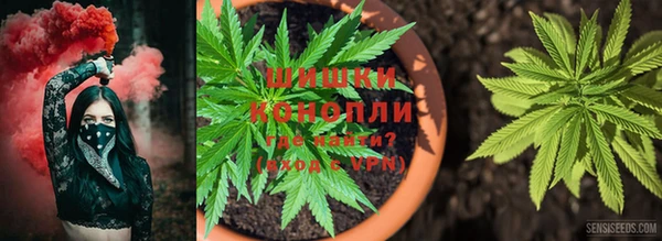 прущая мука Ельня