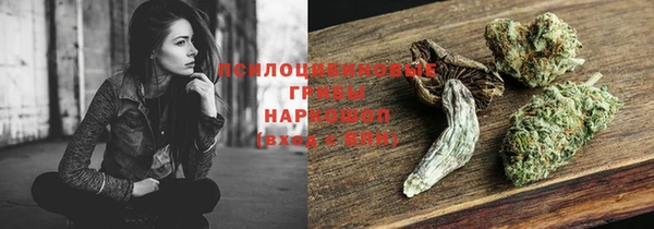 прущая мука Ельня