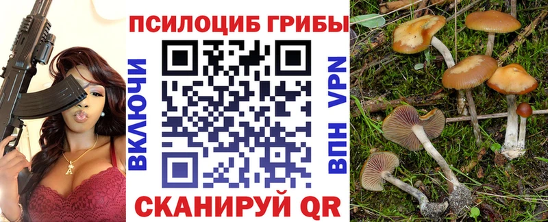 Галлюциногенные грибы Psilocybe  Коломна 